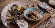 Seafood at Cantina, Goodrington Beach, with oysters. Part of England's Seafood FEAST.