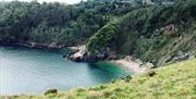 Ansteys Cove, Torquay, Devon