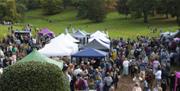 Apple Day - Cockington Court