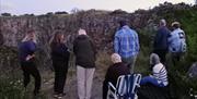 Bat Walk - Torbay Coast and Countryside Trust, Berry Head, Brixham