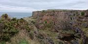 View of Berry Head, Brixham