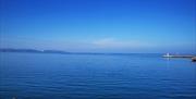 View from Battery Gardens, Brixham, Devon