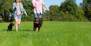 Dogs enjoying there time at Beverley Bay, Paignton, Devon