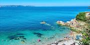 Breakwater Beach, Brixham, Devon