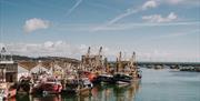 Trawlers in Brixham harbour