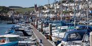 Brixham Marina, Brixham, Devon