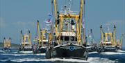 Brixham Trawler Race