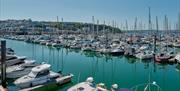 Brixham Marina, English Riviera, Devon