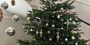 Christmas Artisan Market and Themed Christmas Grotto, Cockington Court