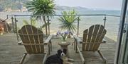 Dog friendly Cary Arms & Spa
