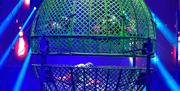 Wheel of Death at Circus Brazil