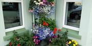 Floral display, The Clifton at Paignton, Paignton, Devon