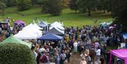 Apple Day - Cockington Court