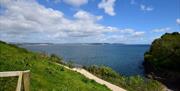 View from Curlew1, The Cove, Brixham, Devon