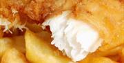 Fish and chips from David's, 64 Bolton Street, Brixham