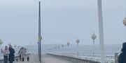 Devon Delve Tour to include a walk along Princess Pier, Torquay