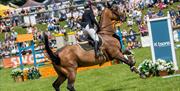 Devon County Show, Westpoint, Exeter, Devon