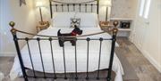 Dog friendly at Court Prior, Torquay, Devon