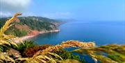 Rooms At Babbacombe, Babbacombe Downs, Torquay Devon