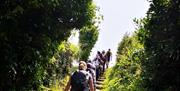 English Riviera Walking Festival