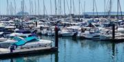 Front of house and car parking at the Millbrook, Torquay, Devon