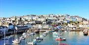 View from Fisherman's Wharf, 55 King Street, Brixham, Devon