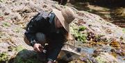 Foraging for seaweed, Be Nutriful