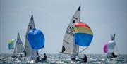 GP14s - Placeholder, Brixham Yacht Club, Devon