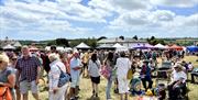 Galmpton Gooseberry Pie Fair, Nr Brixham, Devon