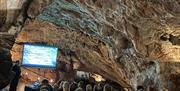 Screen inside, Kents Cavern Discovery Evenings, Kents Cavern, Torquay,