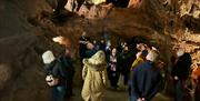 Group of people, Kents Cavern Discovery Evenings, Kents Cavern, Torquay,