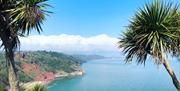 View from The Waddling Duck @ Hamiltons, Babbacombe, Torquay, Devon