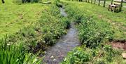 Stream in the grounds of Holiday Accommodation at Higher Yalberton Farm
