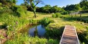 Footbridge near the Shepherd hut at Hillside Hideaways, Paignton