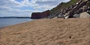 hollicombe beach