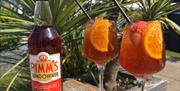 The Hyde Dendy, Paignton - Pimms