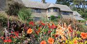 Red, orange and yellow flowers in the border with the stone house in the background.