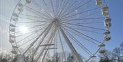 English Riviera Wheel