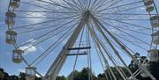 English Riviera Wheel
