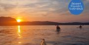 sunset-kayak-tour, geopark-tour, english-riviera,