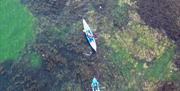 aerial shot of kayaks - Coastal Kayak Safari - Reach Outdoors