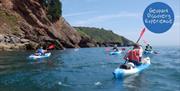 Group of Kayaks,  Coastal Kayak Safari - Reach Outdoors