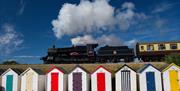 Dartmouth Steam Railway (starting in Paignton)