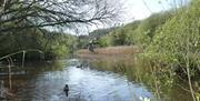 Clennon Lakes, Paignton, Devon