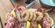 Seafood Meal dining alfresco, Molly's, Paignton Harbour, Paignton, Devon