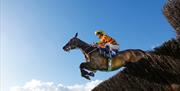 Newton Abbot Country Show