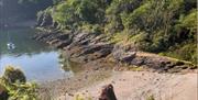 Sunrise & Morning Outdoor Yoga- Nicola Bianca Yoga