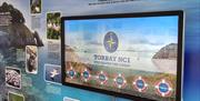 Torbay NCI