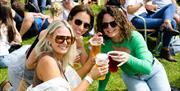 Offshore and Bays Festival