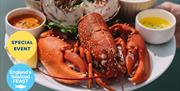 Lobster & Live at Offshore Bar & Restaurant